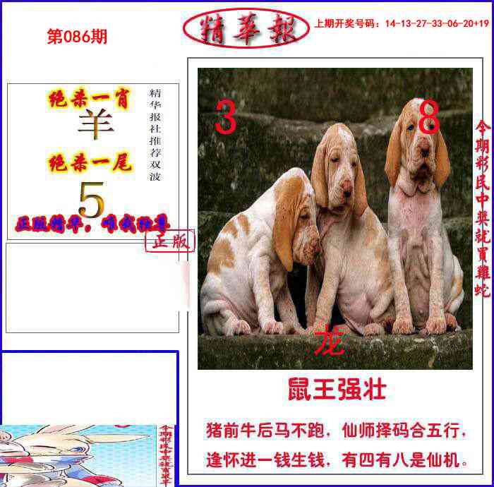 086期新精华报报[图]