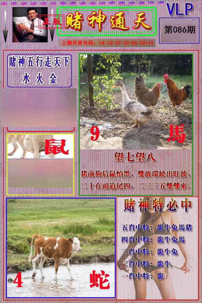 086期赌神通天报[图]